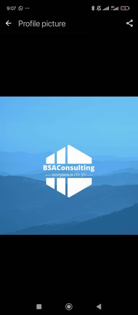 BSA Consulting logo